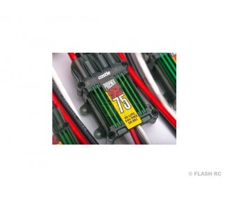 Phoenix Edge 75A CREACIONES DE CASTILLOS