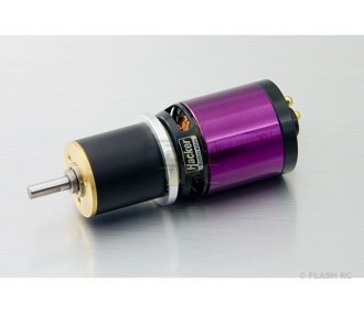 A20-6XL 10-Pol EVO Hacker + Maxon Reducer 4,4:1