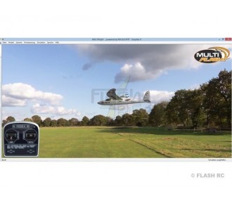 Multiflight PLUS Simulator + Smart SX 6 (Mode 2+4) Multiplex