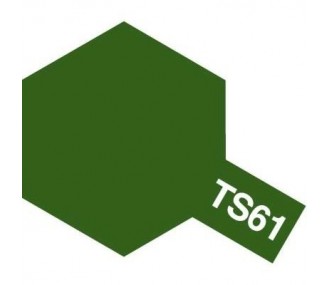 TAMIYA TS61 GREEN NATO PAINT