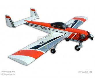 Bidule 55 env.2.46m ARF ECOTOP