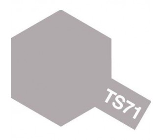 LACKIERUNG TAMIYA TS71 SMOKE (RAUCH)