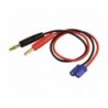 Cable de carga EC3/DC3