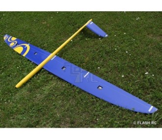 E-Strega Full Carbon 2,90m giallo e blu RCRCM