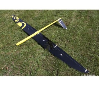 E-Strega Full Carbon 2.90m yellow & black RCRCM