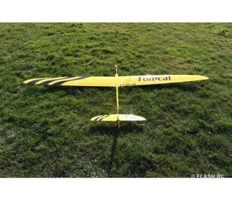 Tomcat tout fibre env.2.60m jaune & noir RCRCM