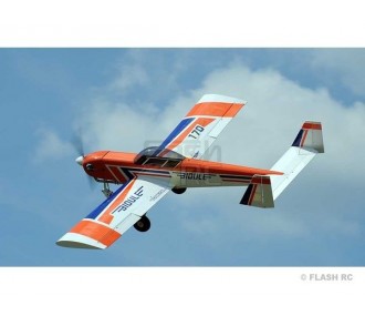 Flugzeug Ecotop Bidule 170 ARF ca.3.48m