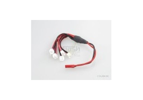 Per il tipo di batteria E-FLITE/BLADE/NINE EAGLE