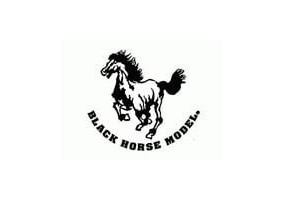 MODELOS BLACK HORSE
