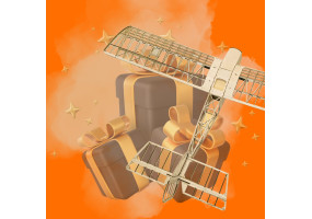 Gift selection for DIY pilots