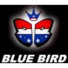 BLUE BIRD