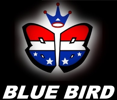 BLUE BIRD