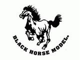 BLACK HORSE